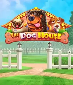 Experience Pragmatic Play's The Dog House, offering a fun-filled adventure through charming canines. Discover gameplay elements including free spins, designed for providing entertaining gameplay. Ideal for those who enjoy a lighthearted setting alongside lucrative rewards.